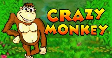 Crazy Monkey